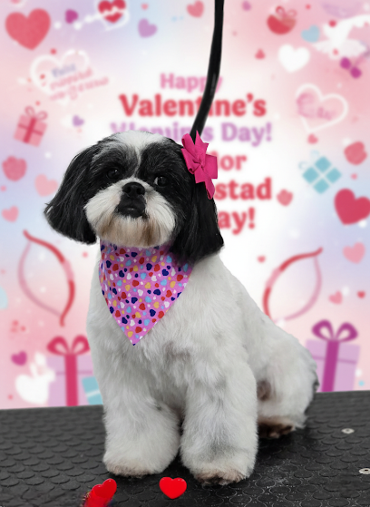 Negocio Estetica Canina Salón Hollywood Dog Spa