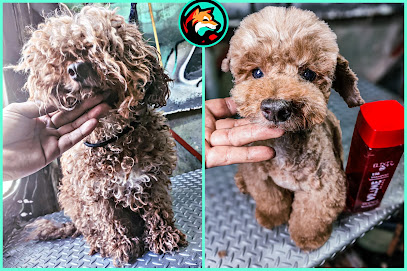 Negocio Estética Canina : Samurai Dog (Solo Cita Previa)