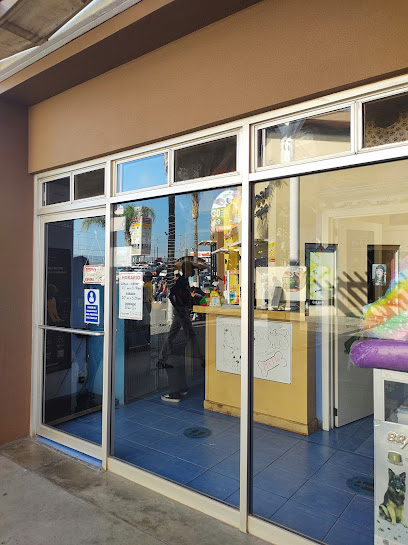 Estética Canina Sante Fe