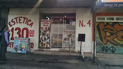 Negocio Estética Canina Sinaí