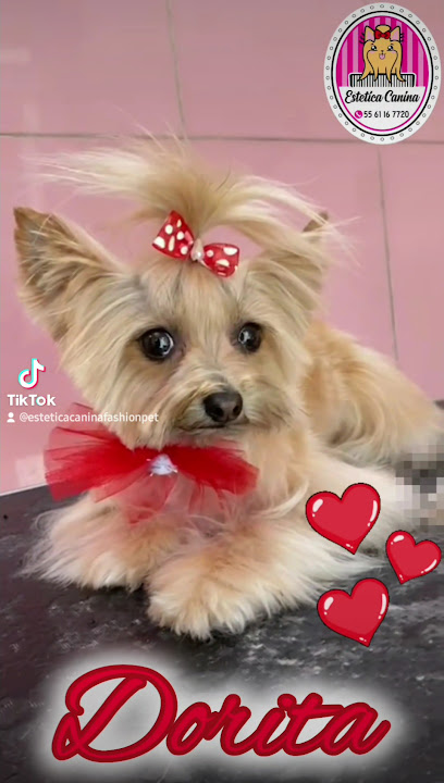 Estetica Canina Spa Fashion Pets
