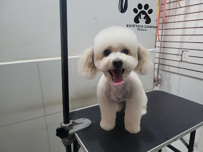 Negocio Estetica Canina Ticho&Apos;S