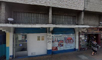 Estetica Canina Tochtli