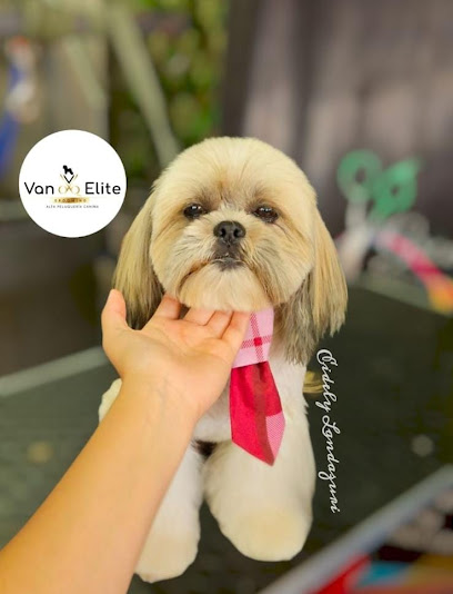 Negocio Estetica Canina Van Elite