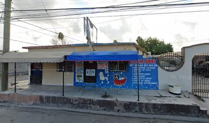 Negocio Estética Canina Vera