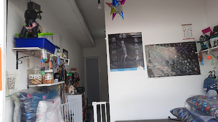 Estetica Canina Veterinario
