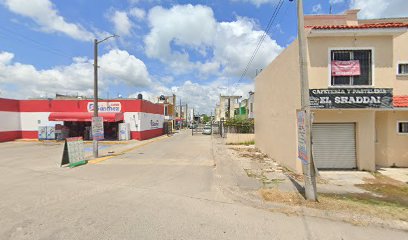 Estética Canina Villahermosa
