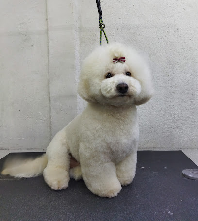 Estética Canina Wua Wash