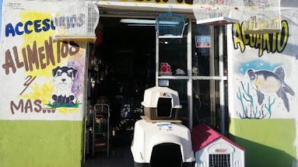 Estetica Canina Y Acuario