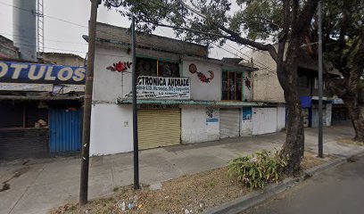Estetica Canina Y Algo Mas