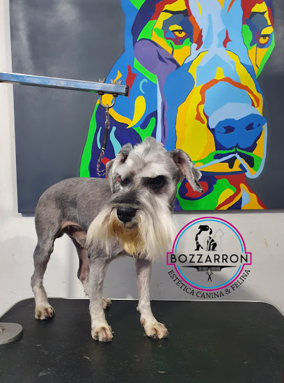 Estética Canina Y Felina Bozzarron