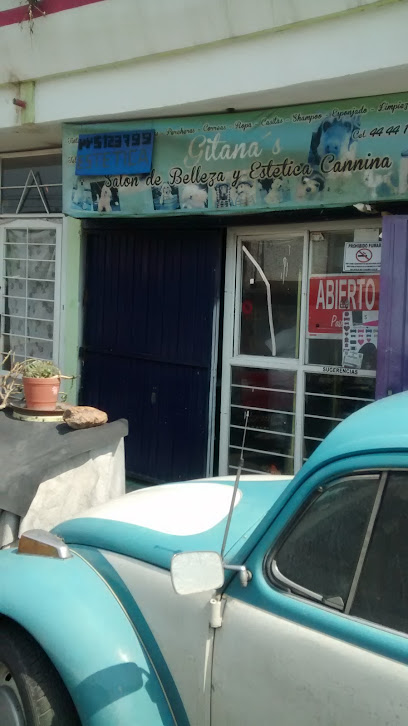 Negocio Estética Canina Y Felina Gitana&Apos;S