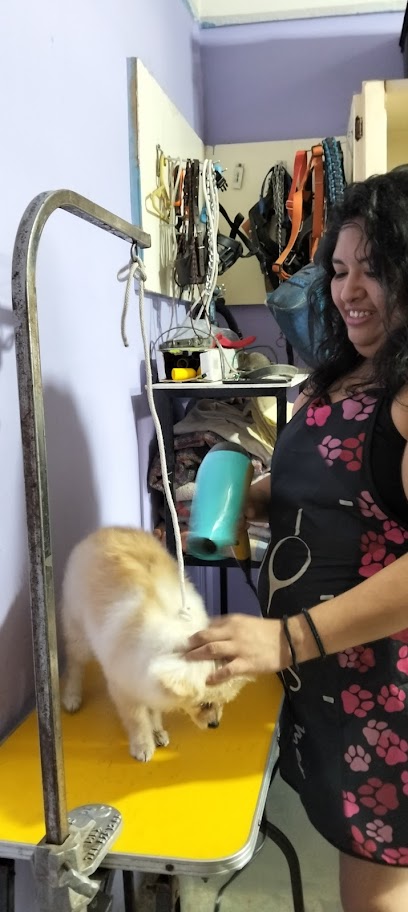 Estética Canina Y Felina Guau &Amp; Miau. Escuela Canina &Quot;Vibración K-Nina&Quot;.