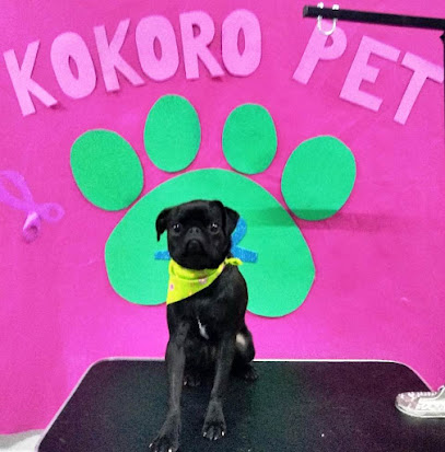 Negocio Estetica Canina Y Felina Kokoro Pet, Hotel Y Guardería Canina