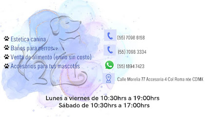 Estetica Canina Y Pet Shop Happy Pets Roma