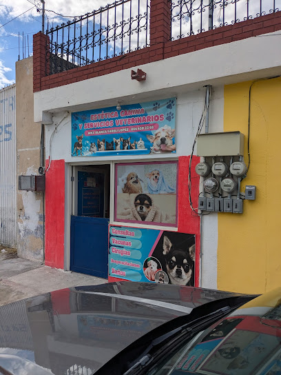 Negocio Estética Canina Y Servicios Veterinarios