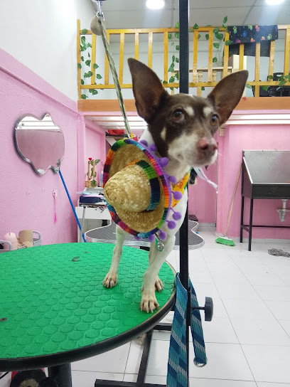 Estética Canina Y Spa Nenes Consentidos