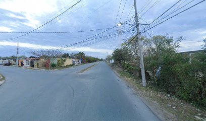 Negocio Estetica Canina Y Spa Vete A La Miau