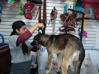 Estética Canina Y Tienda Para Mascotas Krokan-T
