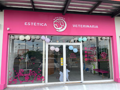 Negocio Estética Canina Y Veterinaria Dperros