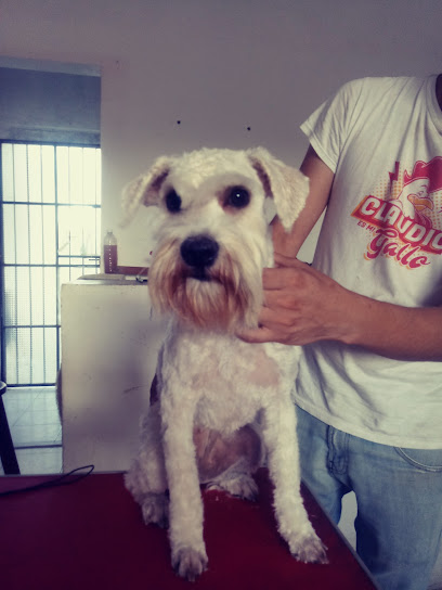 Estetica Canina Zoo Home