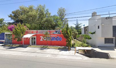 Negocio Estetica Canina Zoo-Mundo