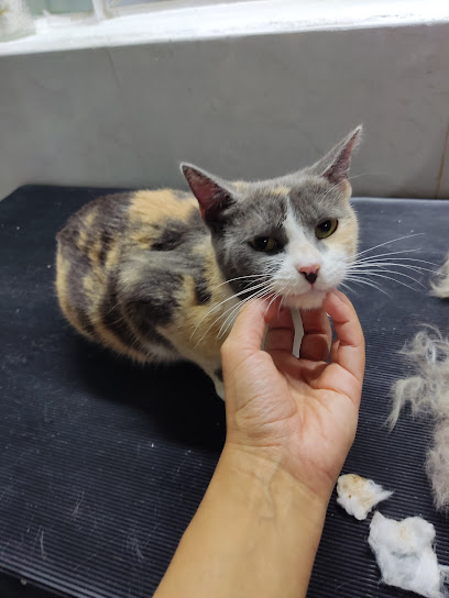 Negocio Estética De Perros Y Gatos Mascontentas