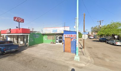 Estética Grupo Veterinario