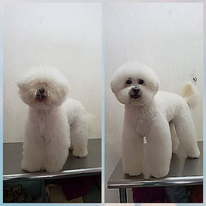 Negocio Estética Para Mascotas @Sahyan_Grooming