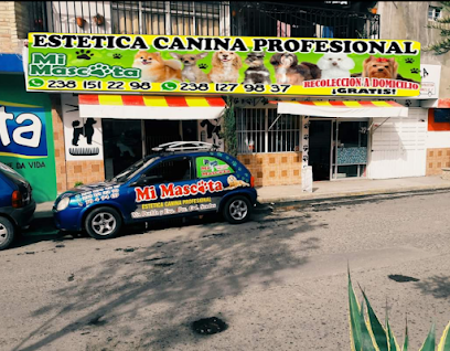 Estetica Profesional Mi Mascota