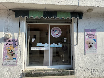 Estilistican