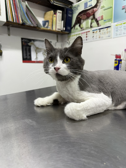Negocio Estilo Canino Veterinaria Y Estética Canina