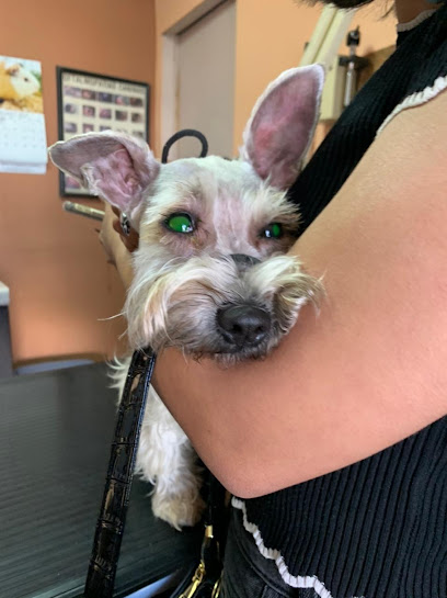 Fido Veterinaria