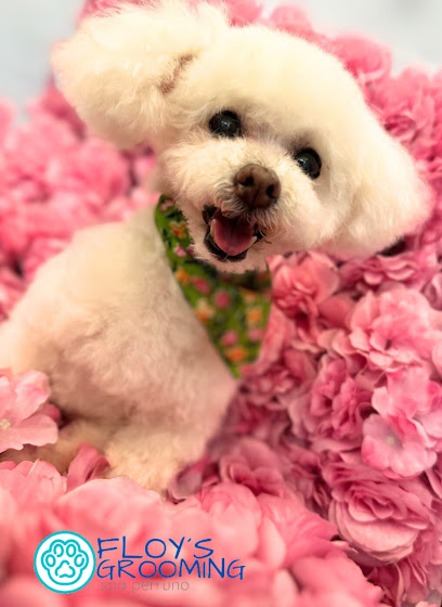 Negocio Floy&Apos;S Grooming Spa Perruno