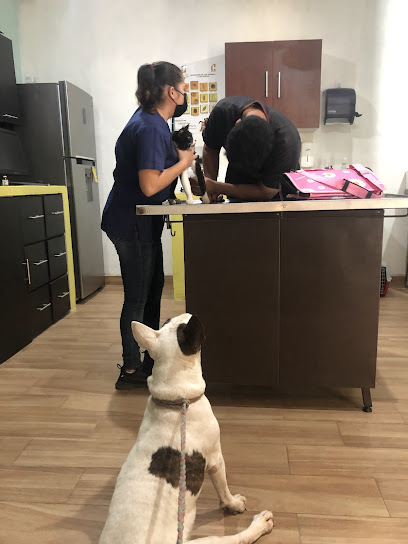 Negocio Francisco Marin - Veterinaria Sukuun Peek Jk