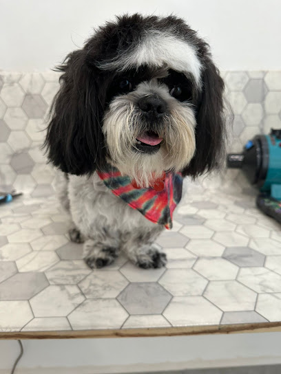 Negocio Fur Pet Spa