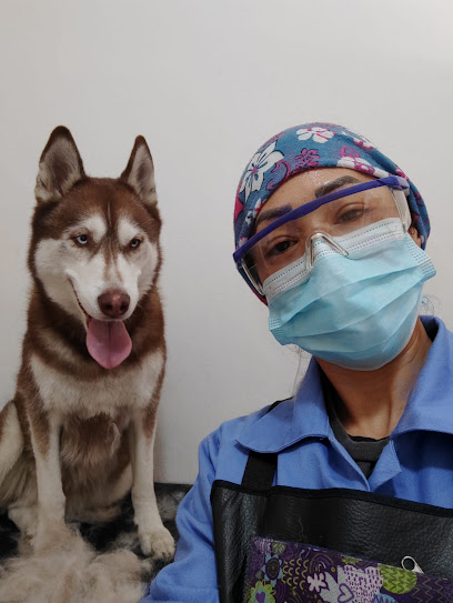Galo Dog Center