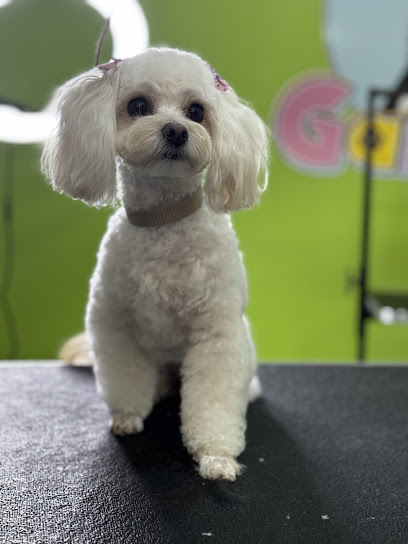 Garapet Estética Canina