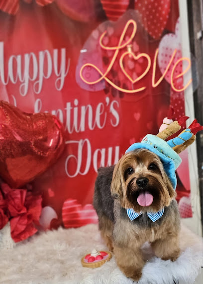Guau Guau Guapos Estetica Canina
