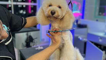 Happy Pet