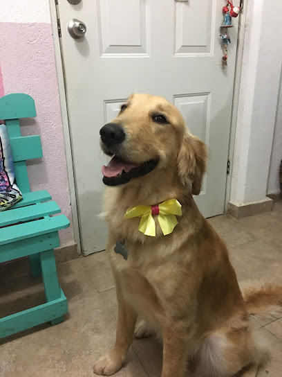 Happy Pet