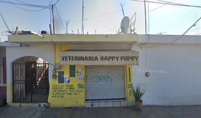 Happy Puppy