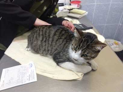 Hospital Veterinario