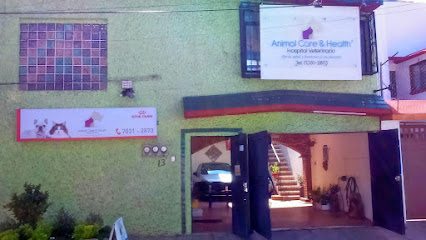 Hospital Veterinario Animal Care And Health