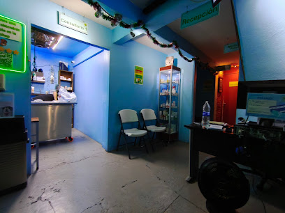 Negocio Hospital Veterinario De Especialidades &Quot;Pets Norte&Quot;