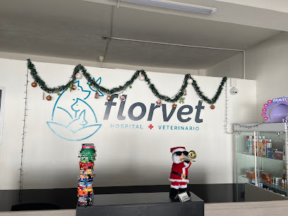 Hospital Veterinario Manzanillo