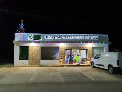 Negocio Hospital Veterinario Puc Pets Calkiní