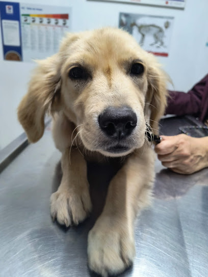 Hospital Veterinario Vip