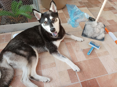 Hospital Veterinario