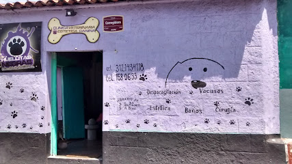 Negocio Huellitas Negras